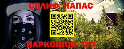 прущие грибы Ливны