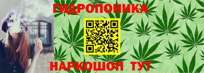 прущие грибы Ливны