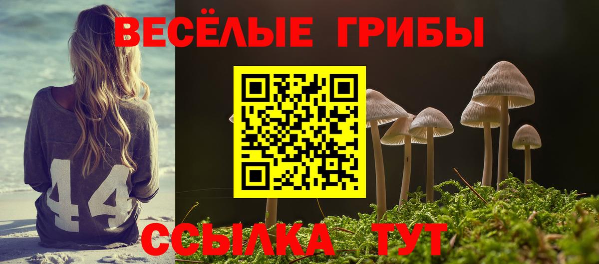 Псилоцибиновые грибы Magic Shrooms  Вход с VPN  Губкинский 