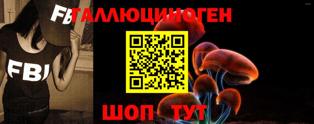 Псилоцибиновые грибы Cubensis Губкинский